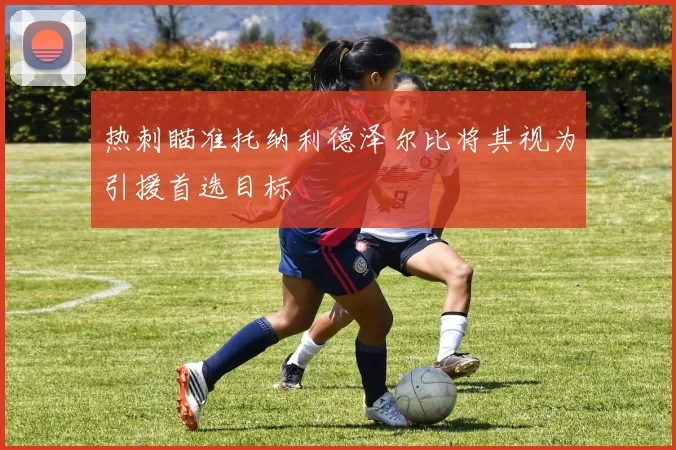 热刺瞄准托纳利德泽尔比将其视为引援首选目标